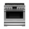 Fisher & Paykel Professional 4.8 Cu. Ft. Freestanding Dual Fuel True Convection Range with Self-Cleaning - Stainless Steel/Black Glass